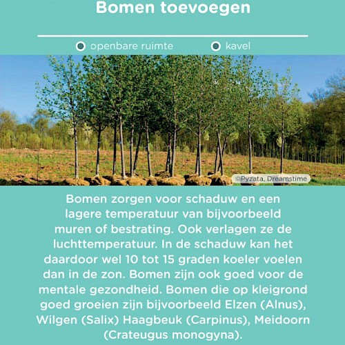 Voorbeeld maatregel klei: bomen toevoegen