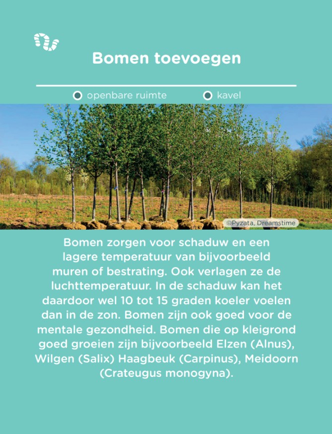 Voorbeeld maatregel klei: bomen toevoegen